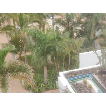 Sprzedaż - Nieruchomości - Mieszkanie - Playa de las Americas 1