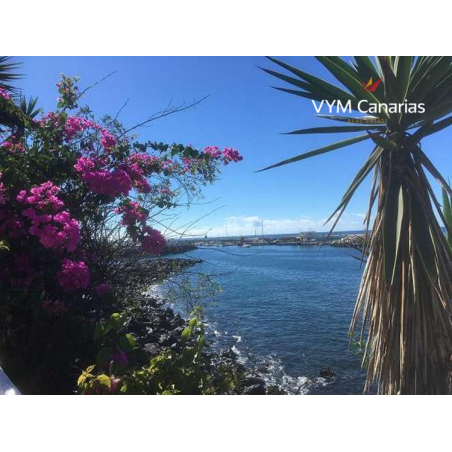 Sprzedaż - Nieruchomości - Biznes z przestrzenią - kawiarnia - Callao Salvaje 1