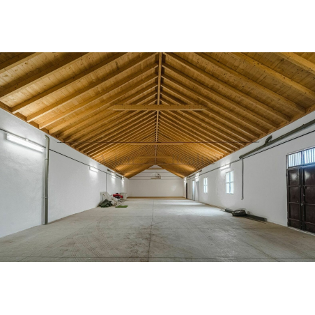 Sprzedaż - Nieruchomości - House - Güimar 1