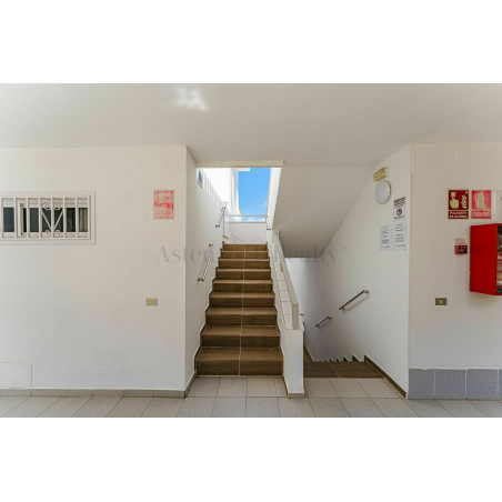 Sprzedaż - Nieruchomości - Apartment - San Eugenio Alto, Adeje 4