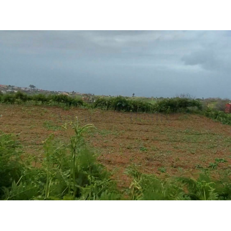 Sprzedaż - Nieruchomości - Land - La Matanza de Acentejo 2