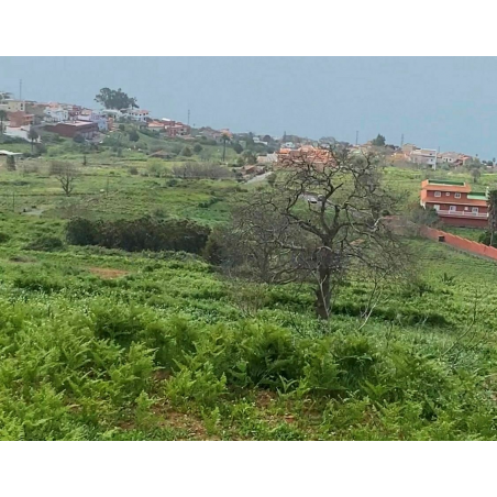 Sprzedaż - Nieruchomości - Land - La Matanza de Acentejo 2
